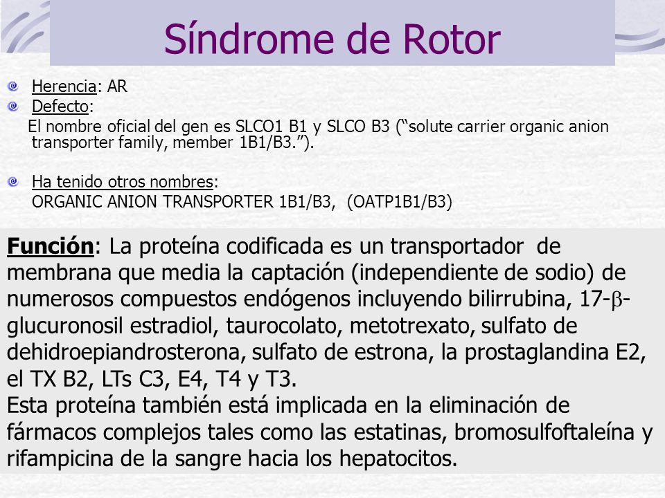sindrome de rotor